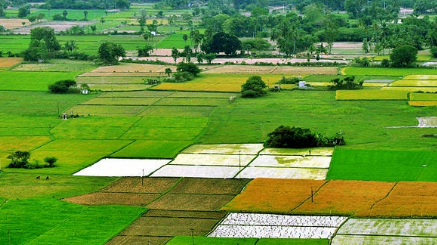 Agricultural Land